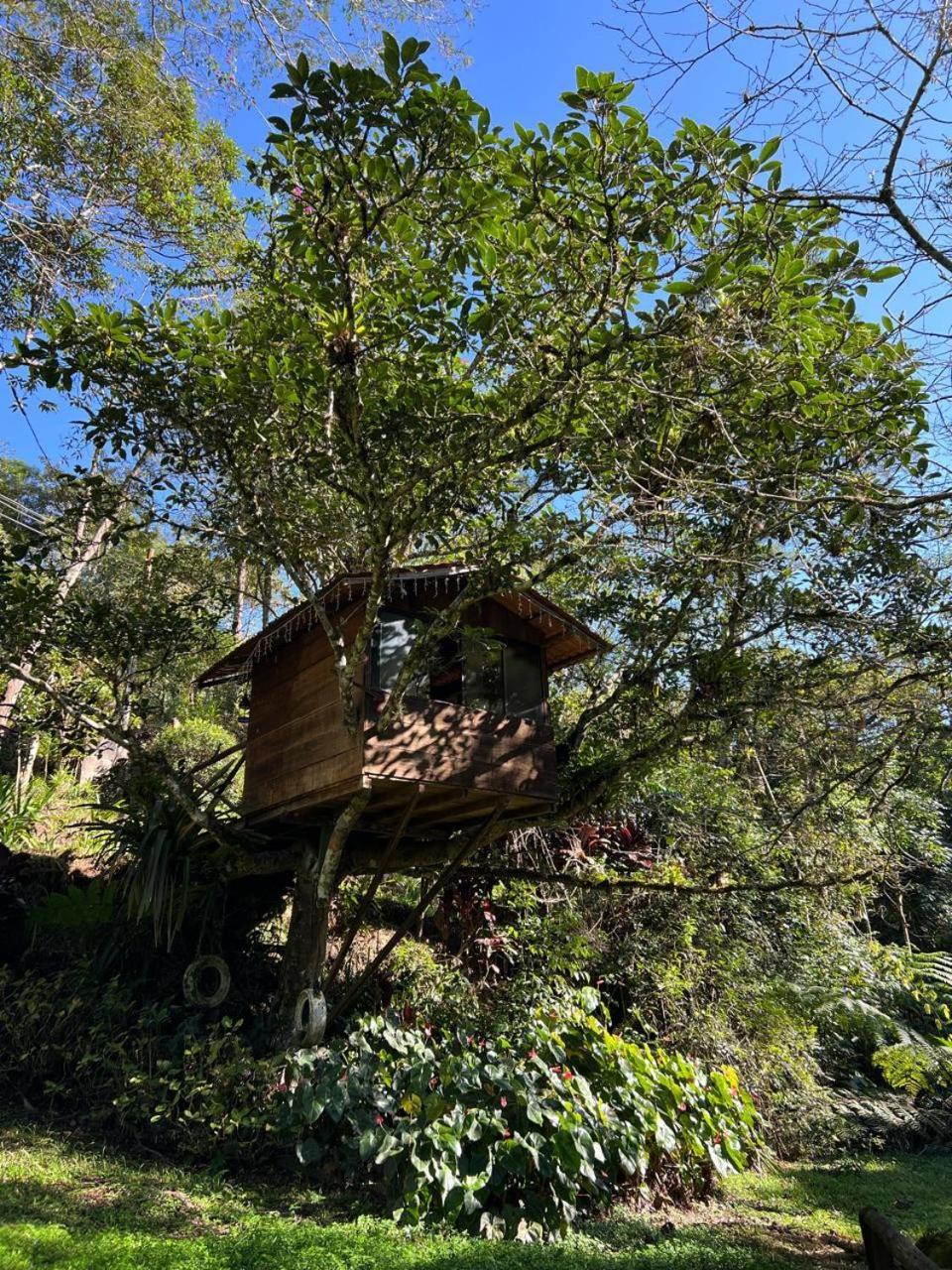 Pousada Sitio E Poesia Teresópolis Exteriér fotografie